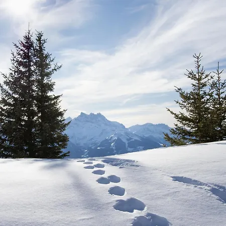 Hyacinthe 14 By Interhome דירה *