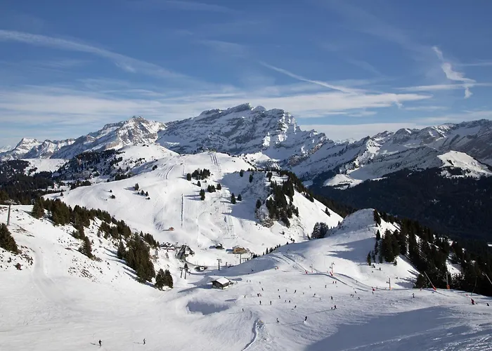 Hyacinthe 14 By Interhome דירה *