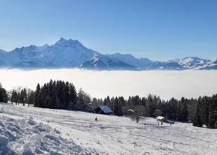 Apartman Hyacinthe 14 By Interhome Villars-sur-Ollon